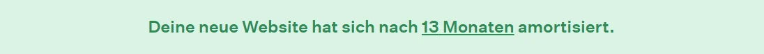 Amortatioszeit nach 13 Monaten für die neue Webseite
